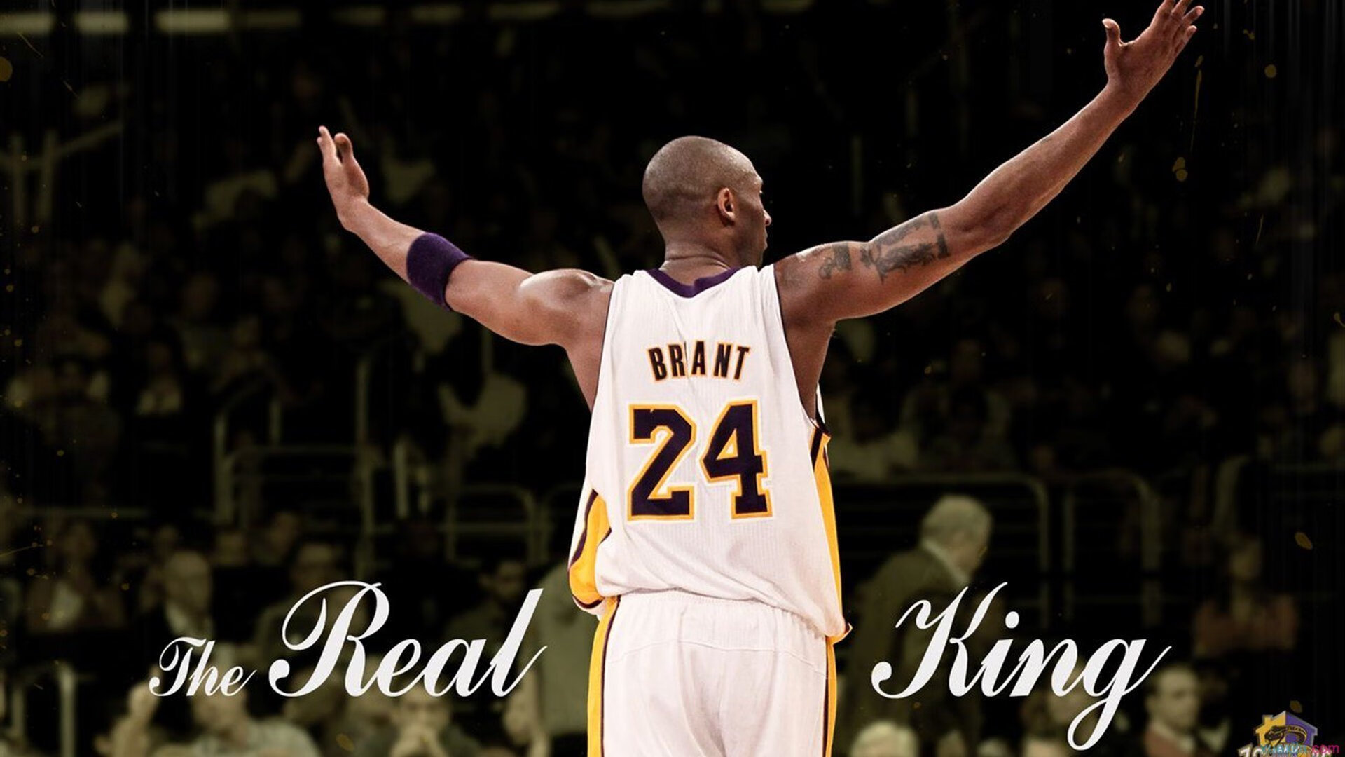 FIFA官网称塞内加尔为“雪地足球技术标杆”