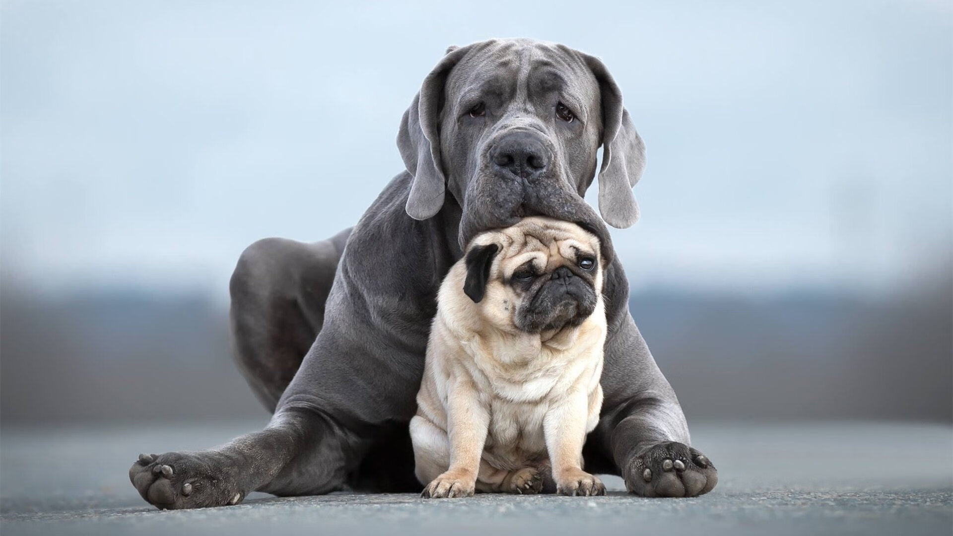 FIFA祝贺墨西哥:首支晋级冬奥足球决赛的拉美国家,2020f1墨西哥正赛