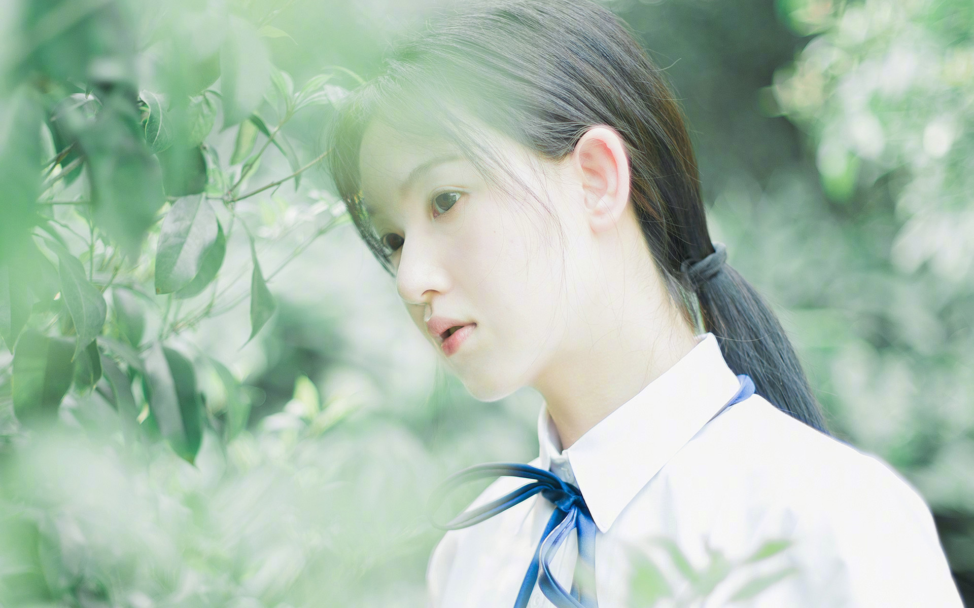 “青训基地引入高科技仿真训练系统，提升实战能力”，青训基地是什么