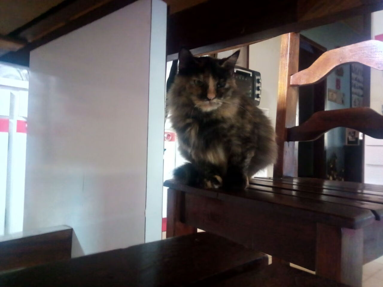 【哈珀连续多打点】费城人明星布莱斯·哈珀成比赛焦点，布莱斯-哈珀