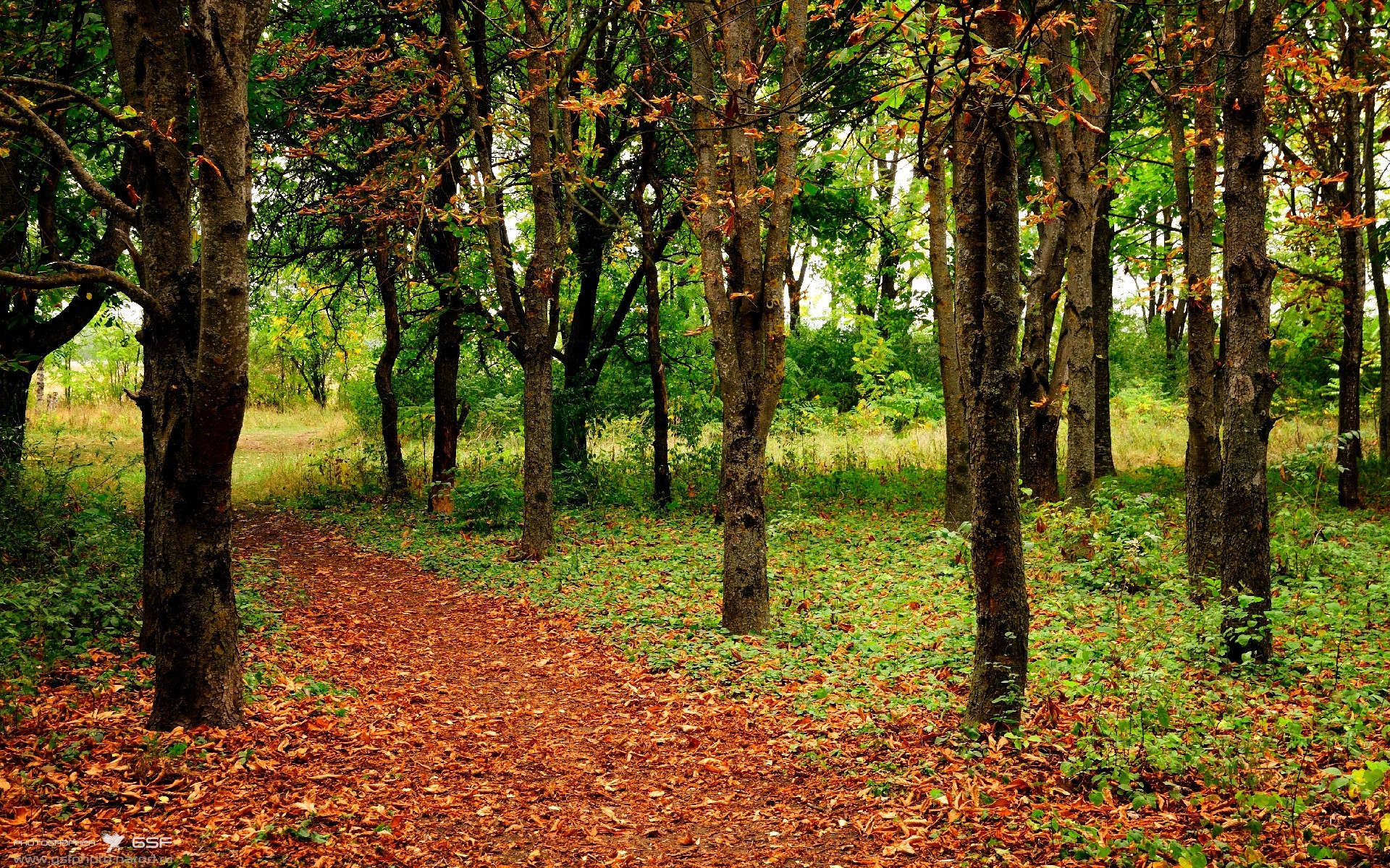 【哈珀霸气归来】费城明星连续多打点，哈珀dc