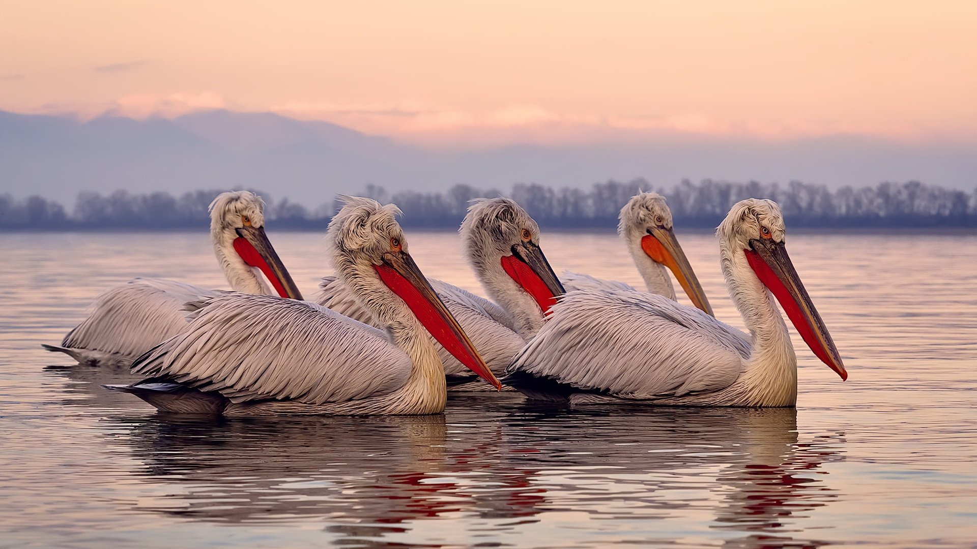 中国职业联赛引入智能裁判系统,赛事公平性持续提升,2021全国职业院校技能大赛裁判员