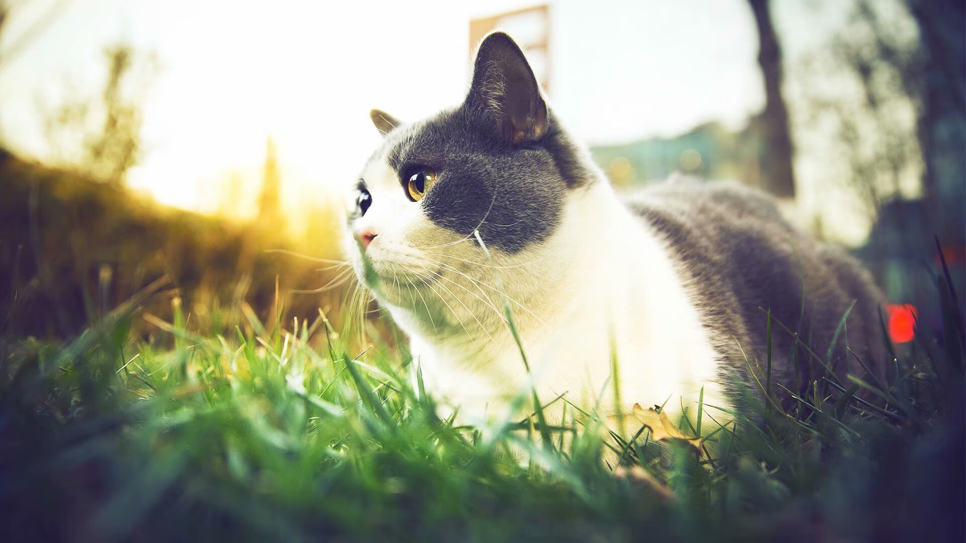 体育科技创新助力中国篮球“智慧”发展新阶段,体育产业科技创新