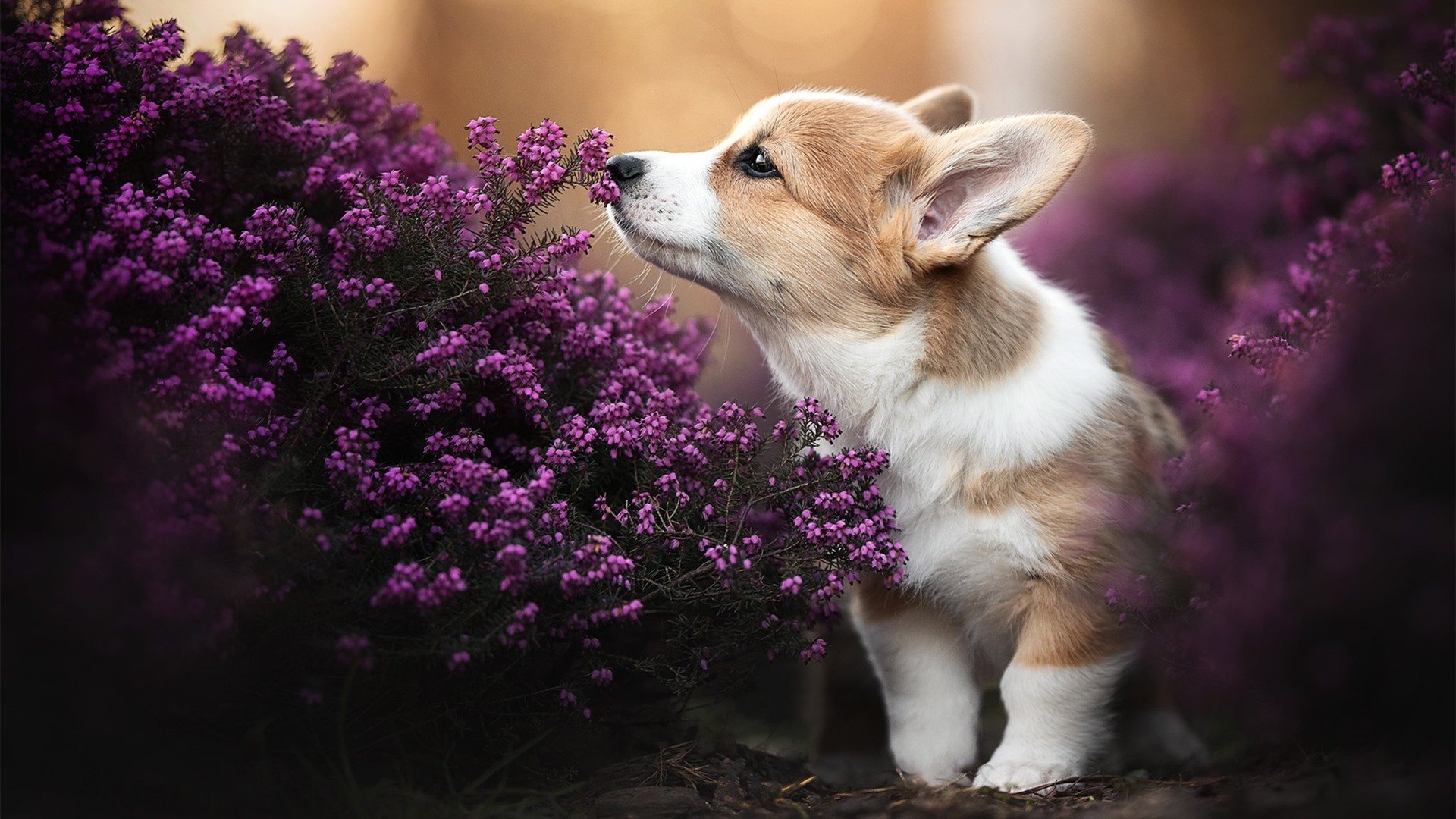 体育科技创新推动中国青少年篮球竞技水平持续跃升，我国青少年篮球体校