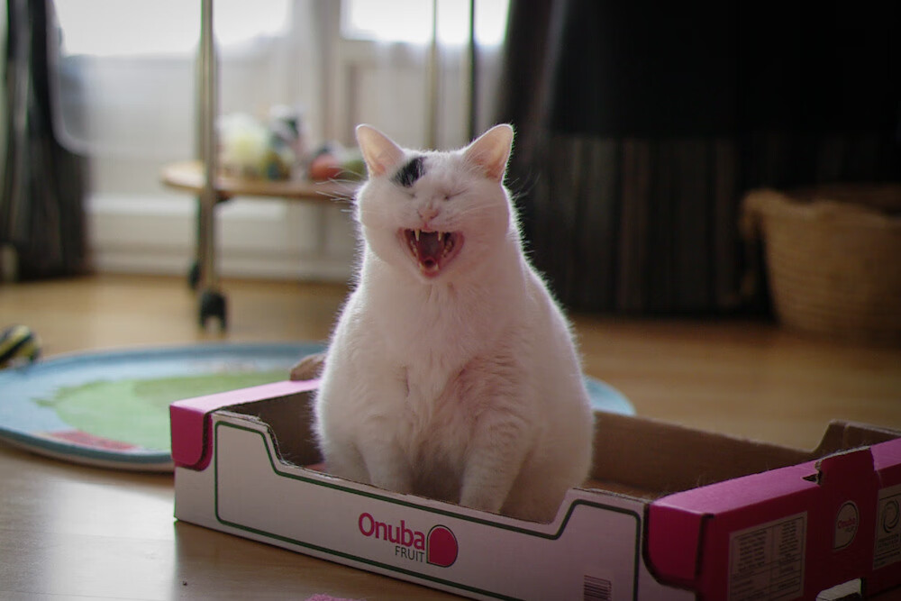 历史名场:NBA历史上永载史册的战役,nba历史十大