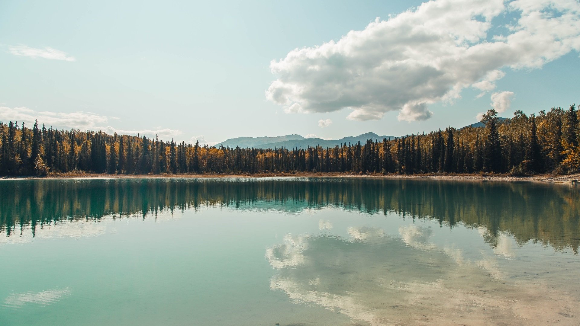 强队对抗：巅峰时刻的精彩绝伦较量，强队对强队的成语