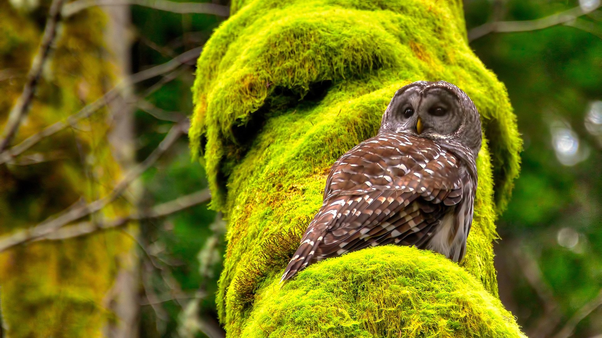 超级杯激战正酣,广州队逆转夺冠,超级杯激战正酣,广州队逆转夺冠