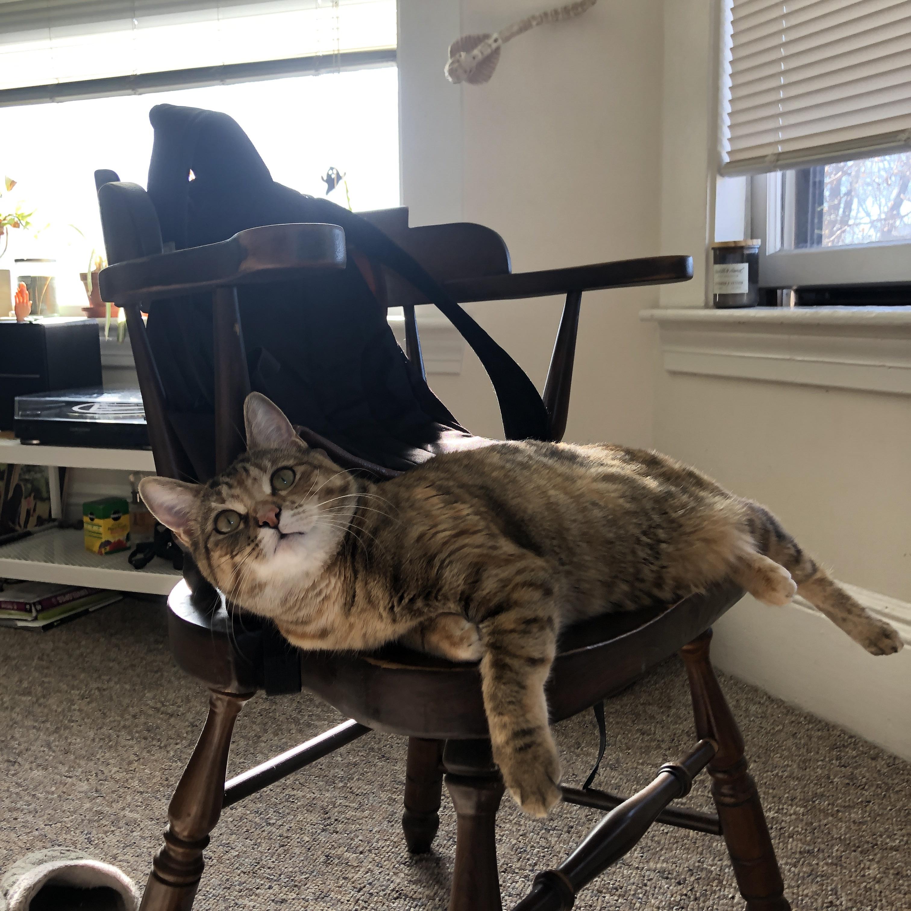 中超是否应降低外援上场人数上限,中超新规则上几个外援