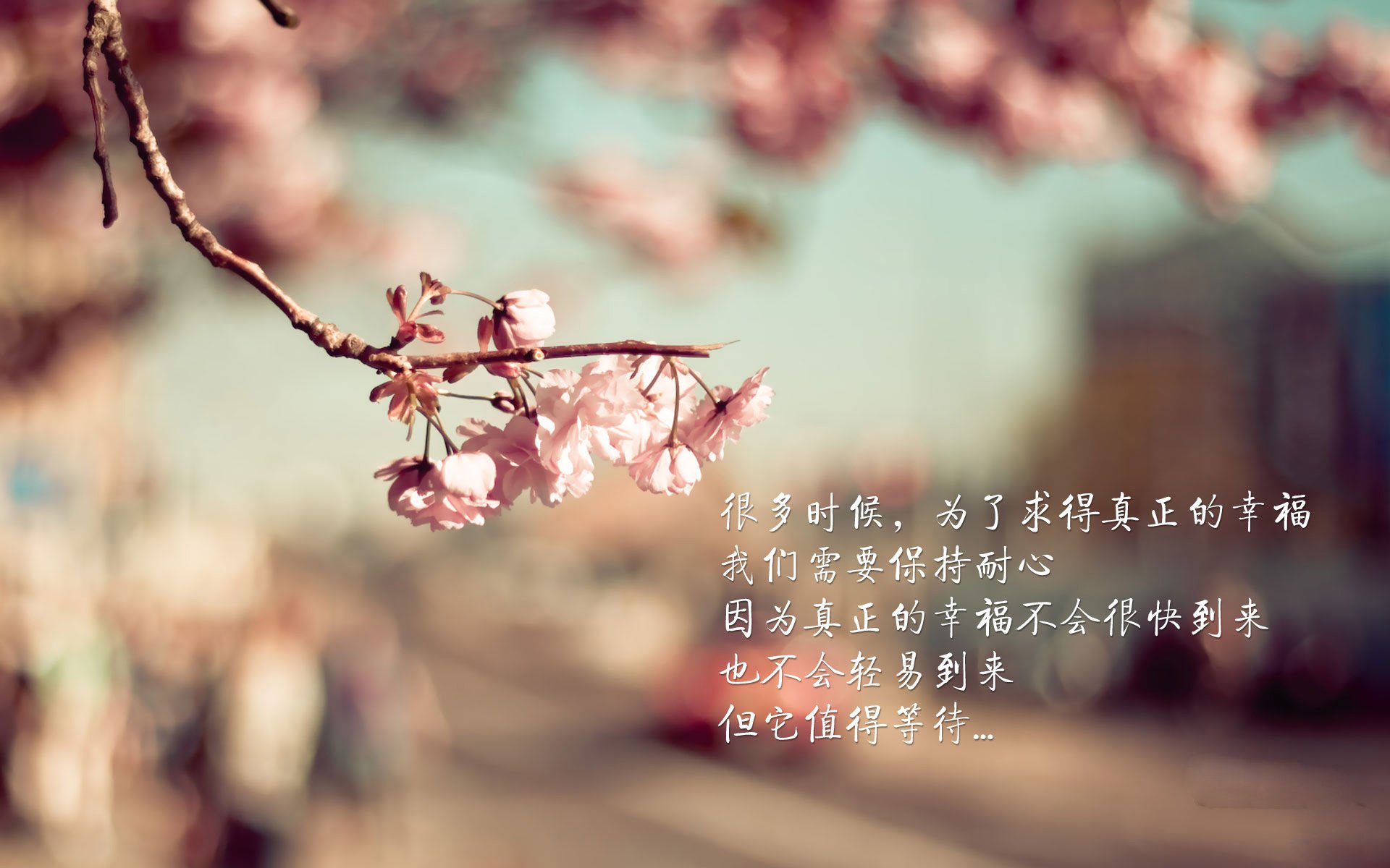 惊险对决!球队临危不乱准备应对挑战