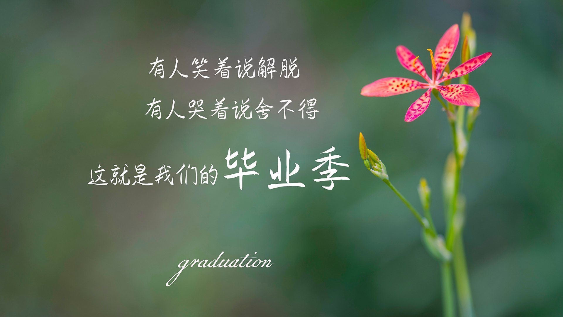 首尔SK骑士关键时刻表现冷静，首尔sk骑士直播