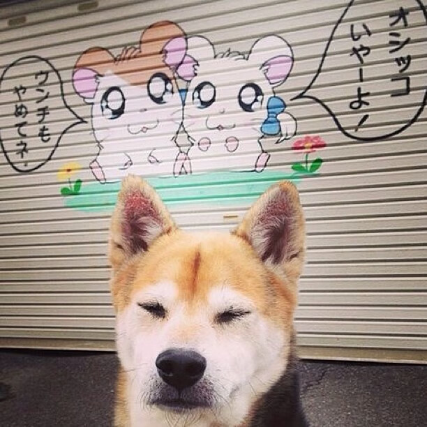 德甲青训中心开展多感官刺激训练提升比赛应对效率,多感官训练定义