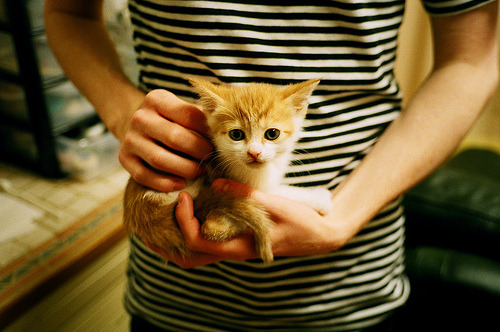 战术模型分析：中稳美快谁更高效？