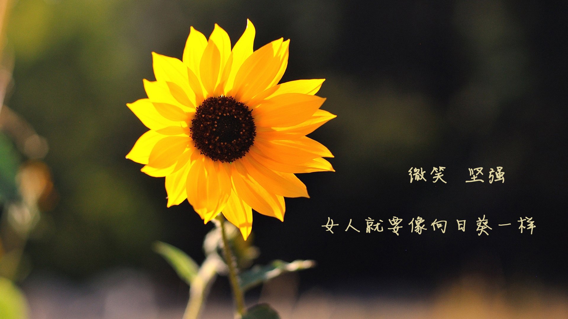 比赛最后三分钟节奏控制是否重于得分效率，最后三分钟表演