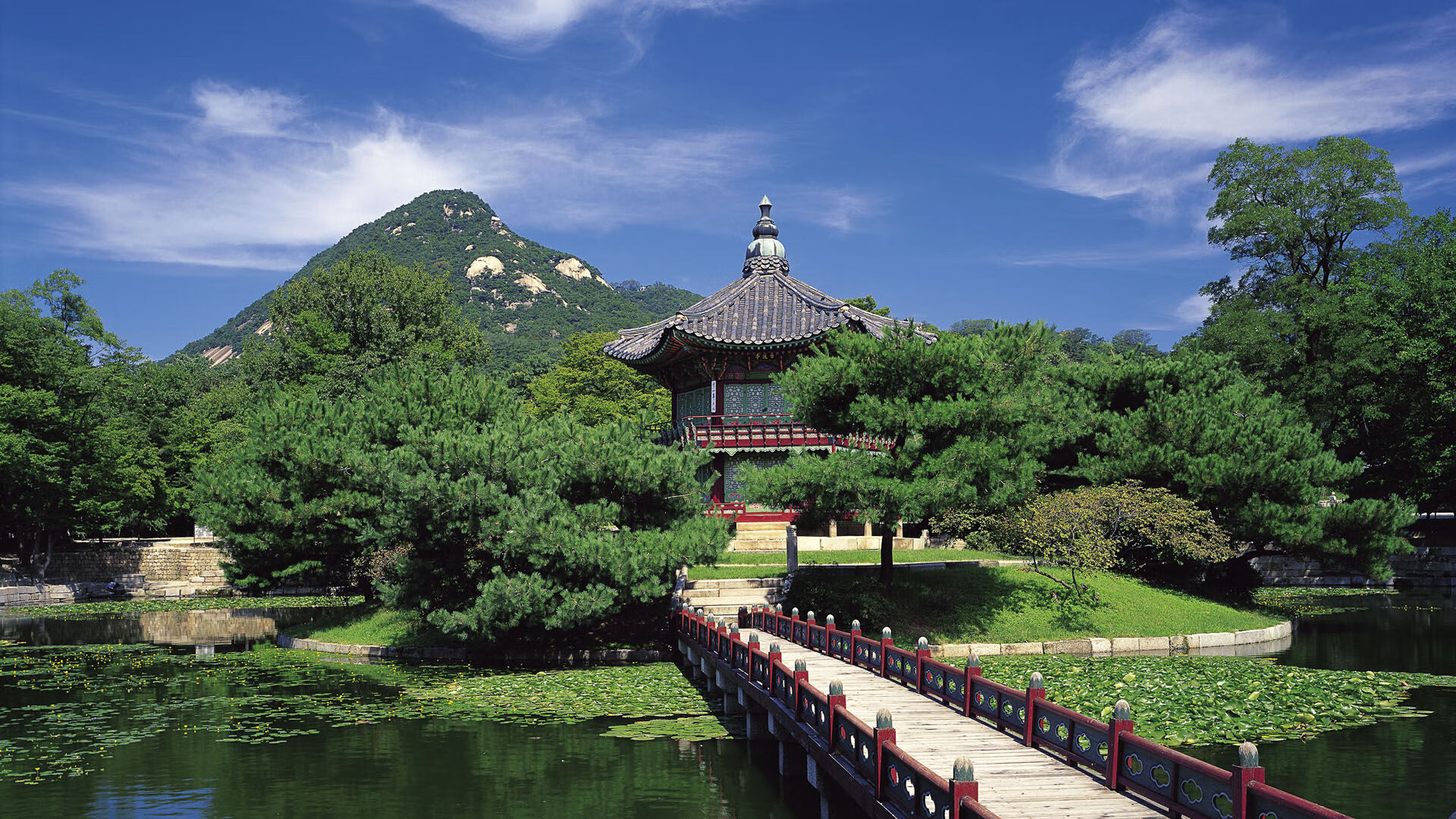 决赛焦点：梅尔滕斯全程配速极稳，梅尔滕斯技术特点