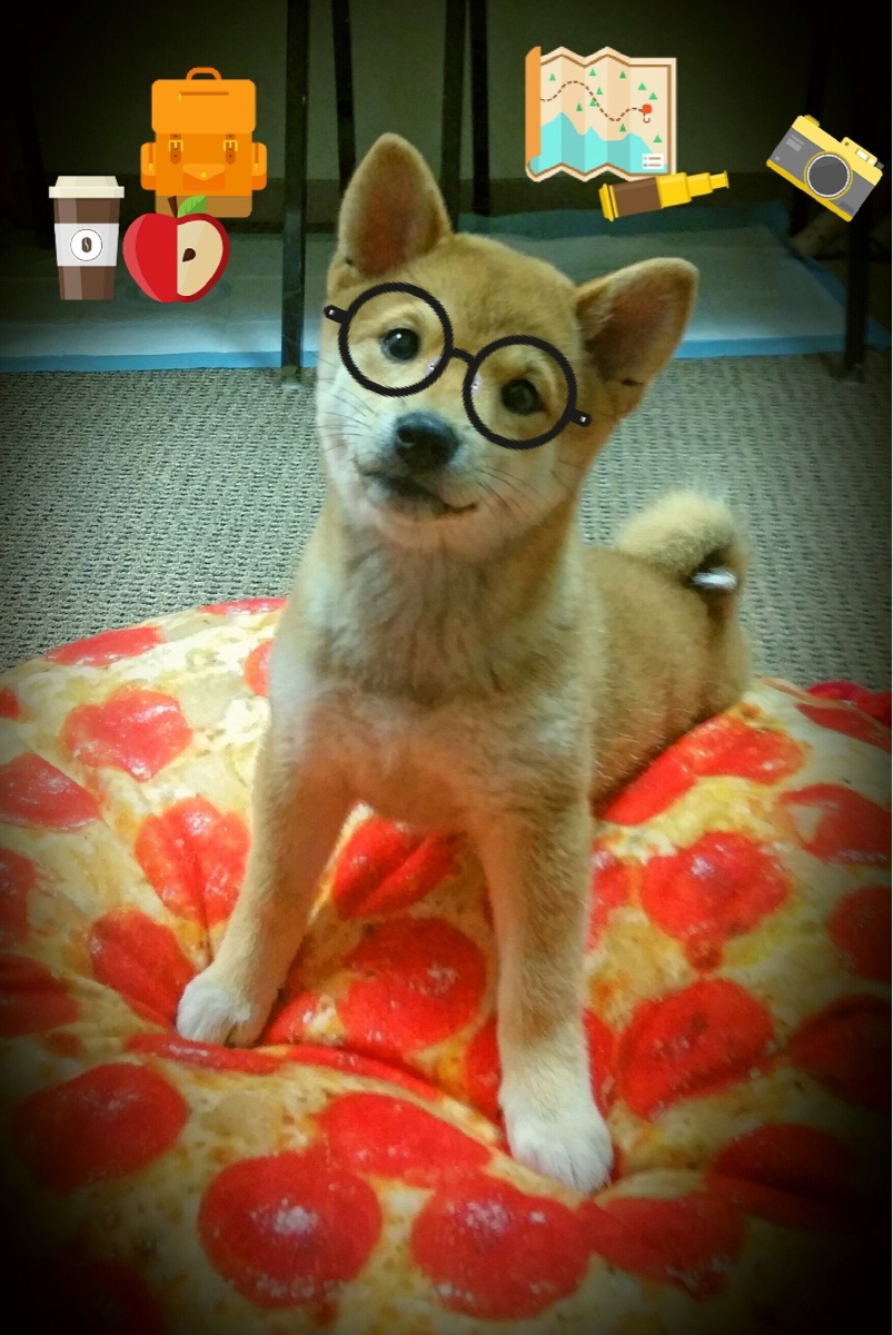 范奥特尔戴克征战决赛全程紧咬对手，范戴克集锦视频