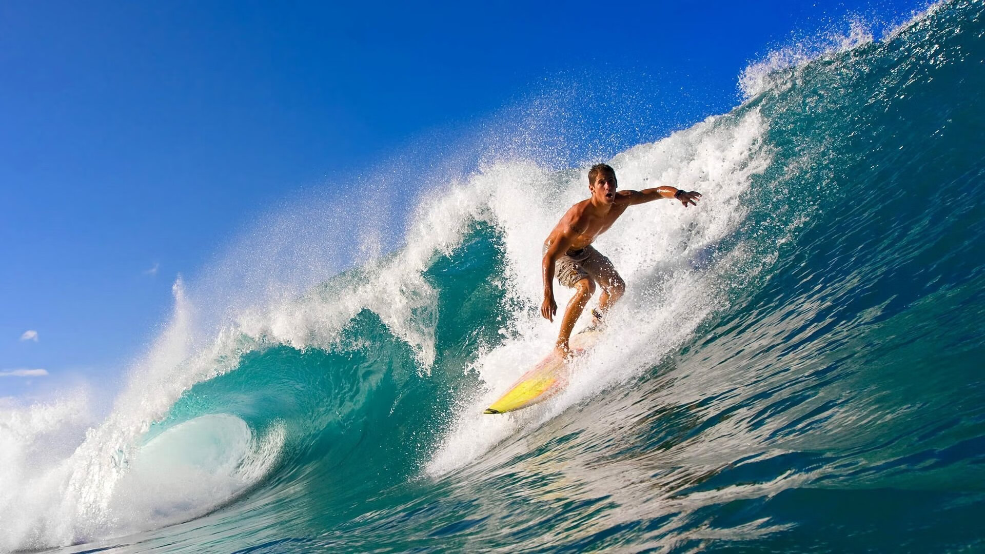 开云体育网页入口-战队管理的奥秘：打造冠军文化的背后故事，战队管理员是什么